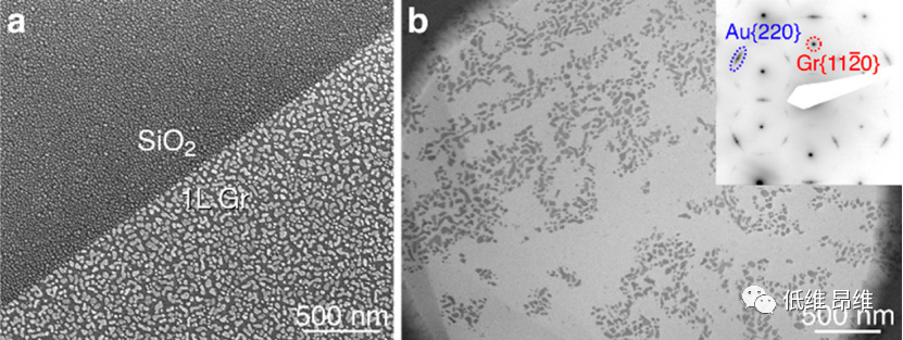 ACS Nano：悬浮的石墨烯薄膜控制Au成核和生长