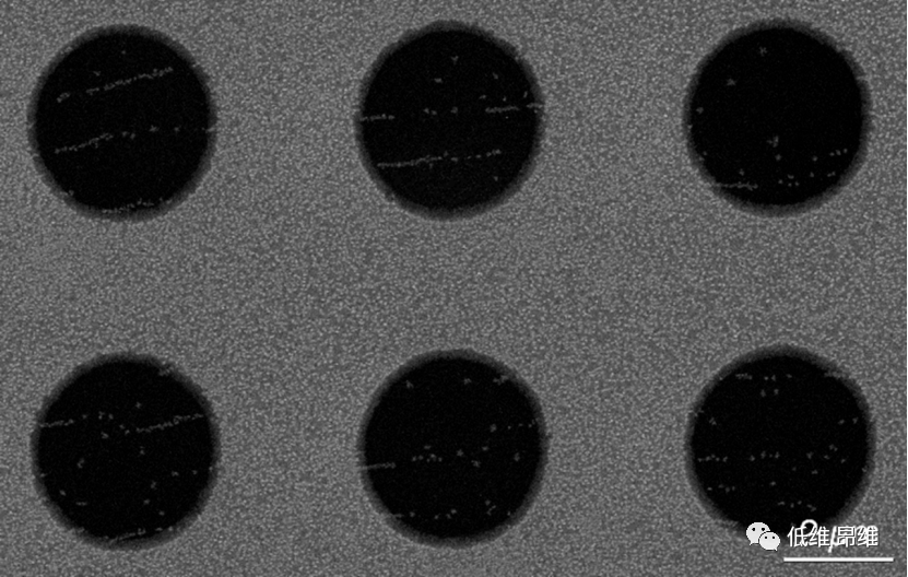 ACS Nano：悬浮的石墨烯薄膜控制Au成核和生长