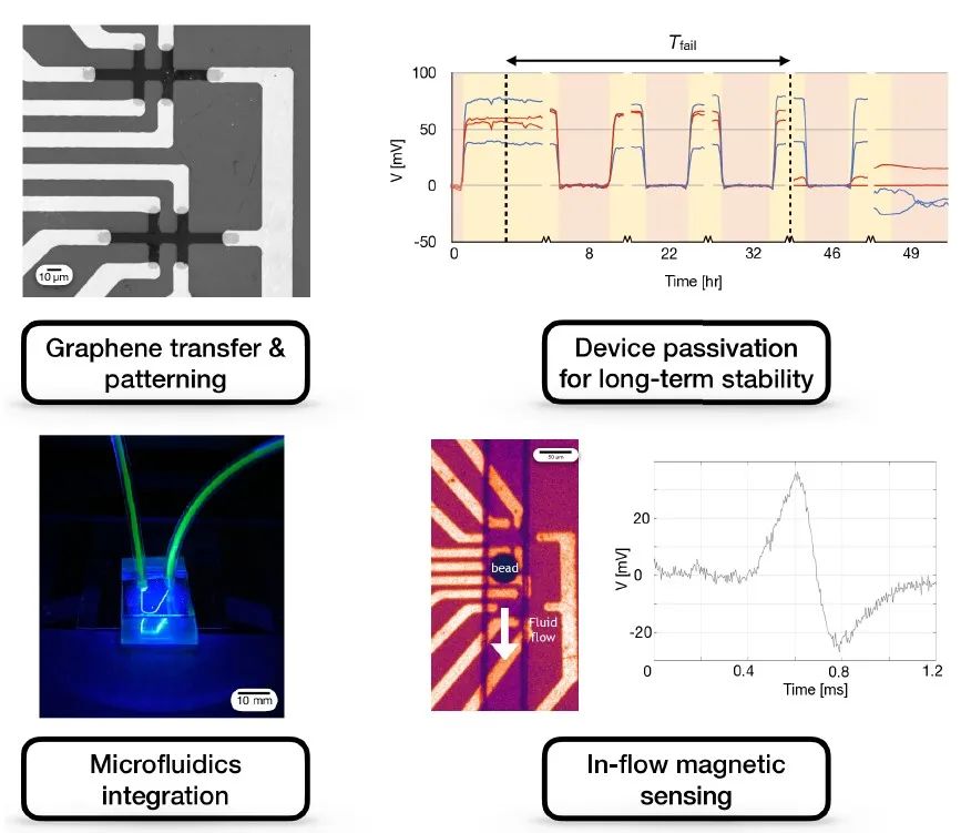 最新成果 | 宾夕法尼亚大学David Issadore教授团队：石墨烯霍尔传感器在全血磁传感微流控平台上的高度稳定集成