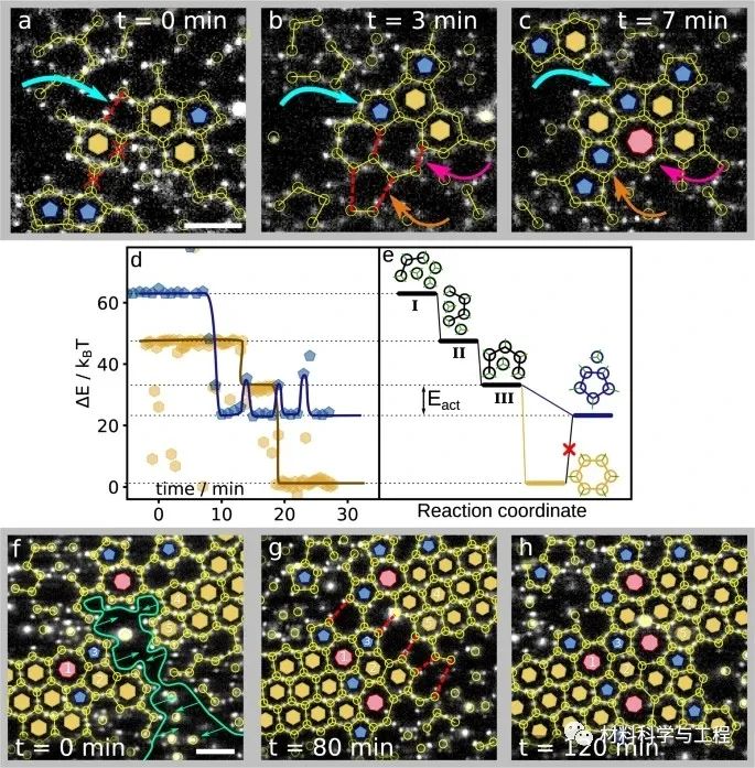 《Nature》子刊：组装胶体石墨烯晶格，实现缺陷动力学可视化！
