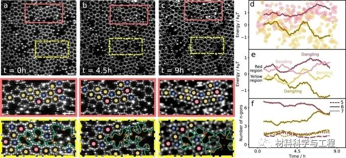 《Nature》子刊：组装胶体石墨烯晶格，实现缺陷动力学可视化！