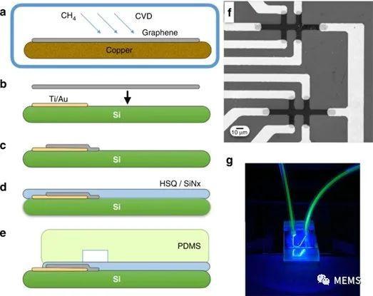 与微流控平台高度集成的石墨烯霍尔传感器，用于全血的磁传感