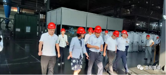 湖南财信金控党委书记、董事长程蓓一行调研金阳烯碳石墨烯新材料项目