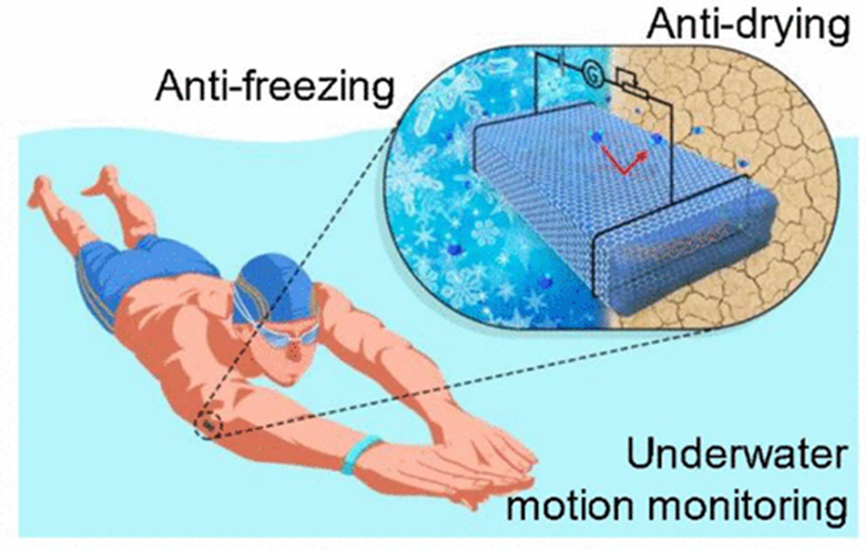 中大吴进/广医大周郁斌/西工大陶凯：可拉伸、自愈石墨烯有机水凝胶应变传感器，用于各种场景中的人体运动检测