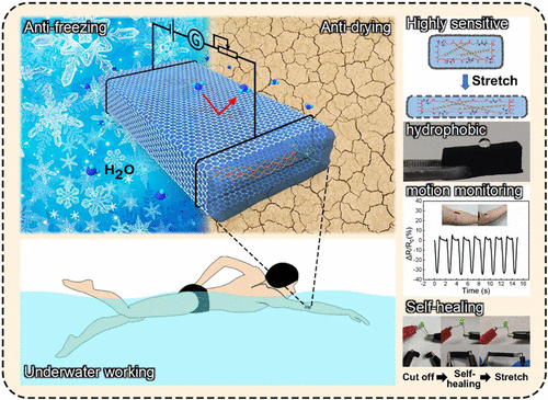 中大吴进/广医大周郁斌/西工大陶凯：可拉伸、自愈石墨烯有机水凝胶应变传感器，用于各种场景中的人体运动检测