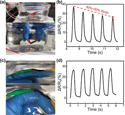 中大吴进/广医大周郁斌/西工大陶凯：可拉伸、自愈石墨烯有机水凝胶应变传感器，用于各种场景中的人体运动检测