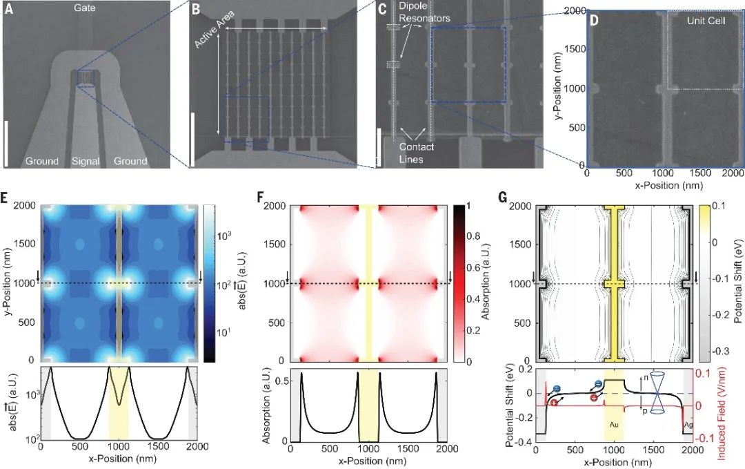 石墨烯+超材料，今日登上Science！