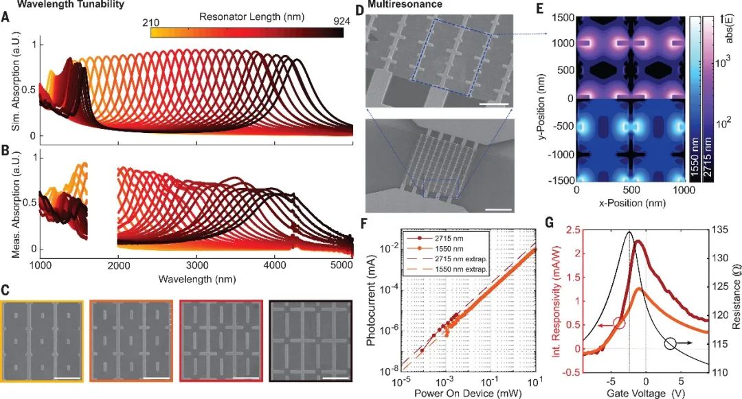 石墨烯+超材料，今日登上Science！
