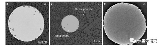麻省理工学院Frances M. Ross等--控制金成核和生长的悬浮石墨烯膜