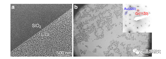 麻省理工学院Frances M. Ross等--控制金成核和生长的悬浮石墨烯膜