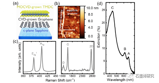 杜伊斯堡-埃森大学Tilmar Kümmell等--表面吸附物对(MO)CVD生长石墨烯-MOS2异质结构光电探测器光响应的作用