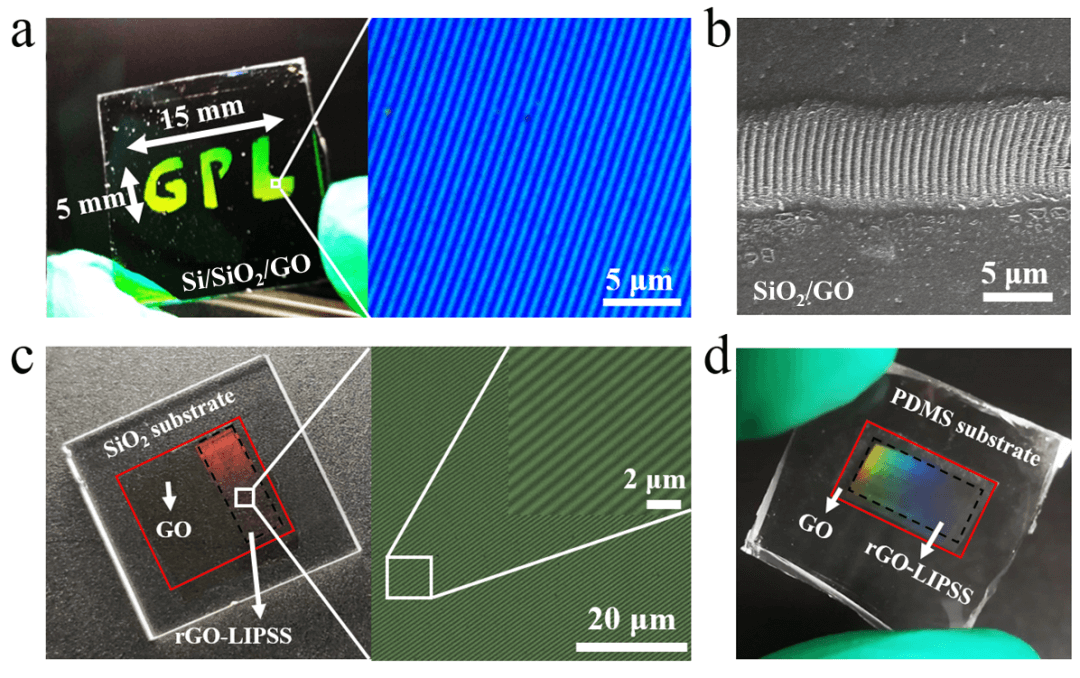 Light：长光所 | 飞秒激光对石墨烯材料的高效微纳加工与应用