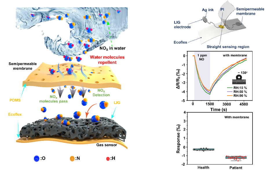 研究人员开发了基于激光诱导石墨烯的防潮、可拉伸 NOx 气体传感器