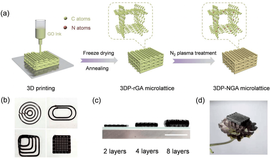 郑州大学王烨教授，JMCA：高吡咯氮掺杂石墨烯气凝胶用于稳定钠金属负极
