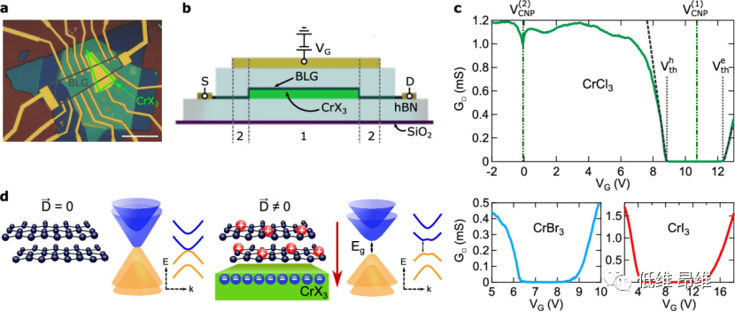 Nano Lett.：双层石墨烯-CrCl3/CrBr3/CrI3范德华界面中的带隙打开