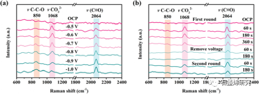 南昌大学Jun Wang课题组--磷掺杂石墨烯气凝胶作为自支撑电催化剂用于二氧化碳到乙醇的转化