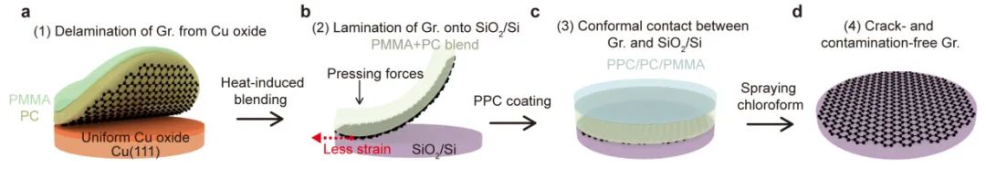 Adv. Mater.：刘忠范院士-彭海琳教授-林立研究员课题组报道快速、规模化石墨烯晶圆转移方法