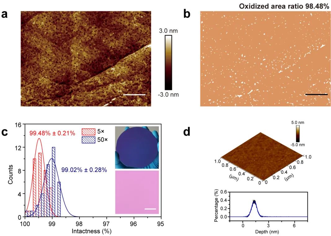 Adv. Mater.：刘忠范院士-彭海琳教授-林立研究员课题组报道快速、规模化石墨烯晶圆转移方法