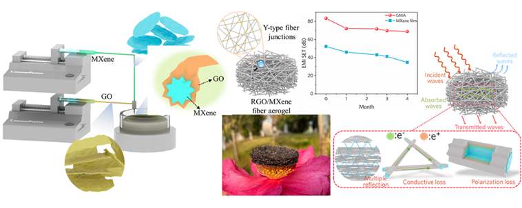 安徽工程大学郑贤宏副教授JCIS：皮芯型异质结构石墨烯/MXene纤维气凝胶用于持久高效电磁屏蔽和高温隔热