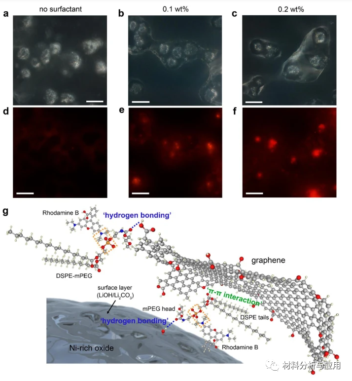 韩国成均馆大学《NAT COMMUN》：富镍层状氧化物阴极石墨烯涂层，用于锂离子电池