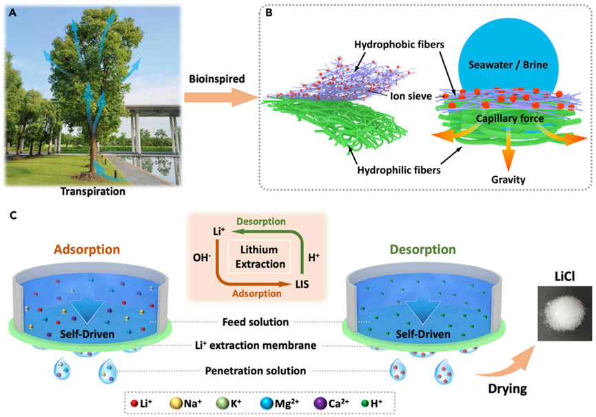 科研进展|如何更节能地从海水提取锂？物质学院刘巍课题组取得重要研究进展