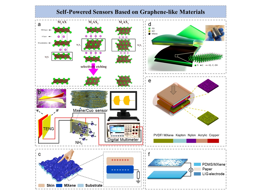 王中林院士/孙其君研究员《AFM》综述：基于二维材料器件的集成式自驱动传感器