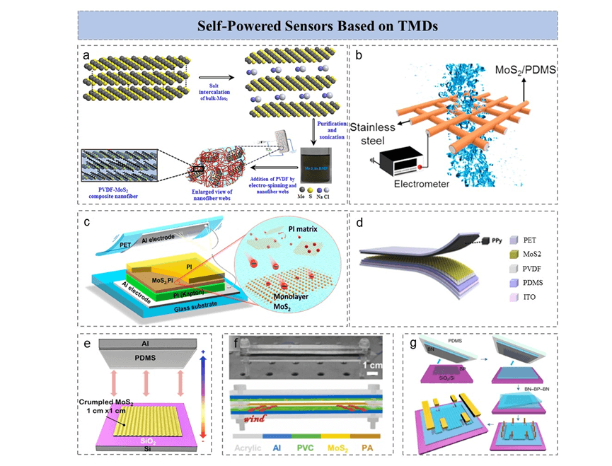 王中林院士/孙其君研究员《AFM》综述：基于二维材料器件的集成式自驱动传感器