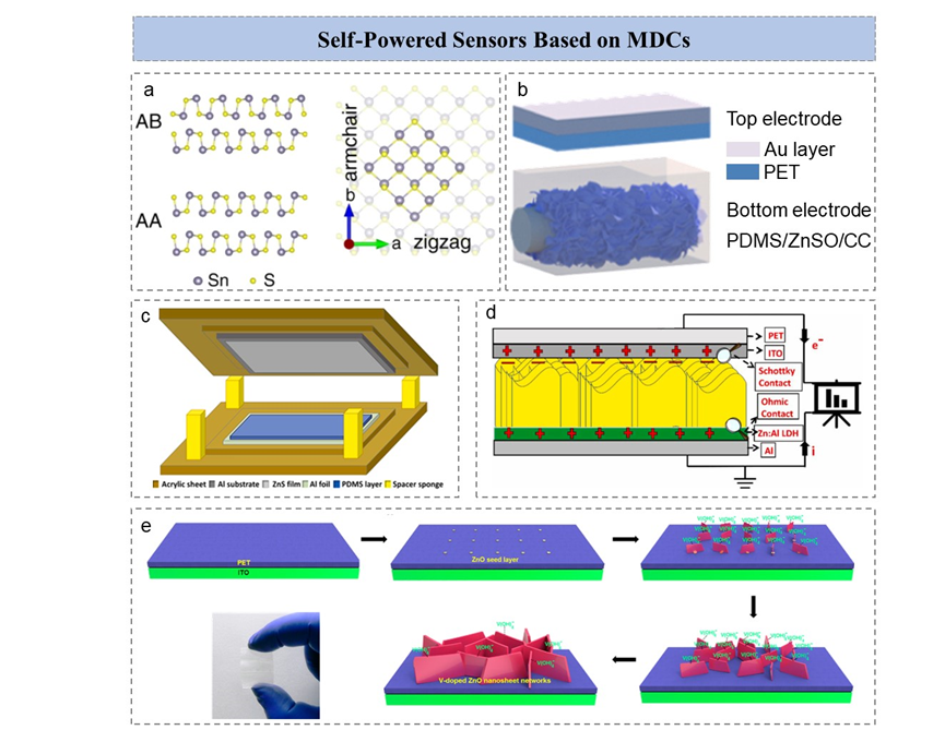 王中林院士/孙其君研究员《AFM》综述：基于二维材料器件的集成式自驱动传感器
