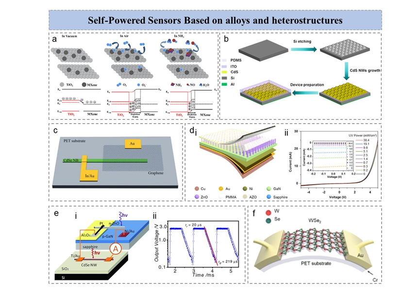 王中林院士/孙其君研究员《AFM》综述：基于二维材料器件的集成式自驱动传感器