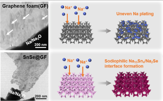 香港科技大学罗正汤等EnSM：无枝晶金属钠电池，​三维石墨烯基体上均匀的SnSe纳米颗粒的双核位点界面