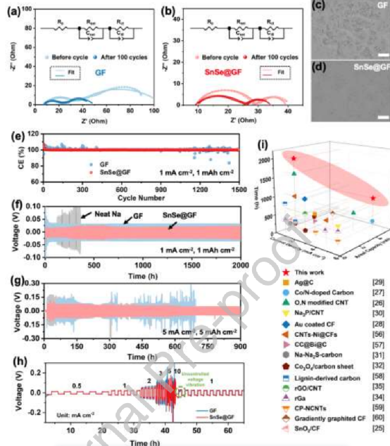 香港科技大学罗正汤等EnSM：无枝晶金属钠电池，​三维石墨烯基体上均匀的SnSe纳米颗粒的双核位点界面
