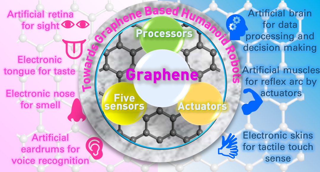 ACS Sensors | 济南大学逄金波-刘宏教授团队 | 石墨烯在人体五感、神经系统和人工肌肉中的应用