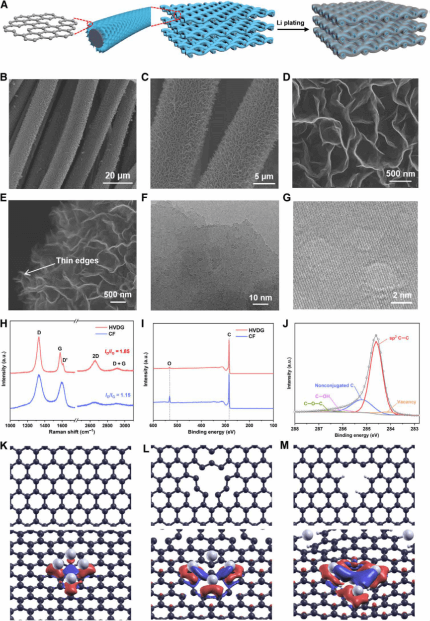 新南威尔士大学王大伟Science Advances：超支化跨尺度石墨烯阵列，实现耐久性高能锂金属电池！