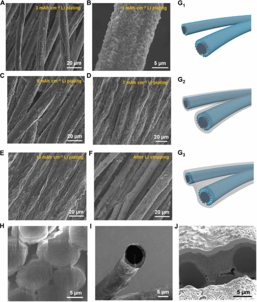 新南威尔士大学王大伟Science Advances：超支化跨尺度石墨烯阵列，实现耐久性高能锂金属电池！