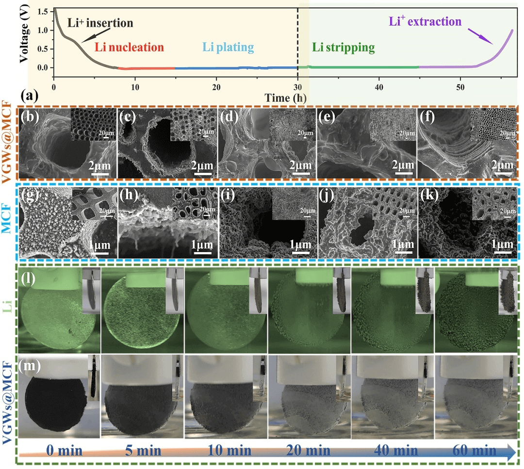 南方科大曾林 Advanced Science：垂直石墨烯通道“一石二鸟”助力锂金属电池