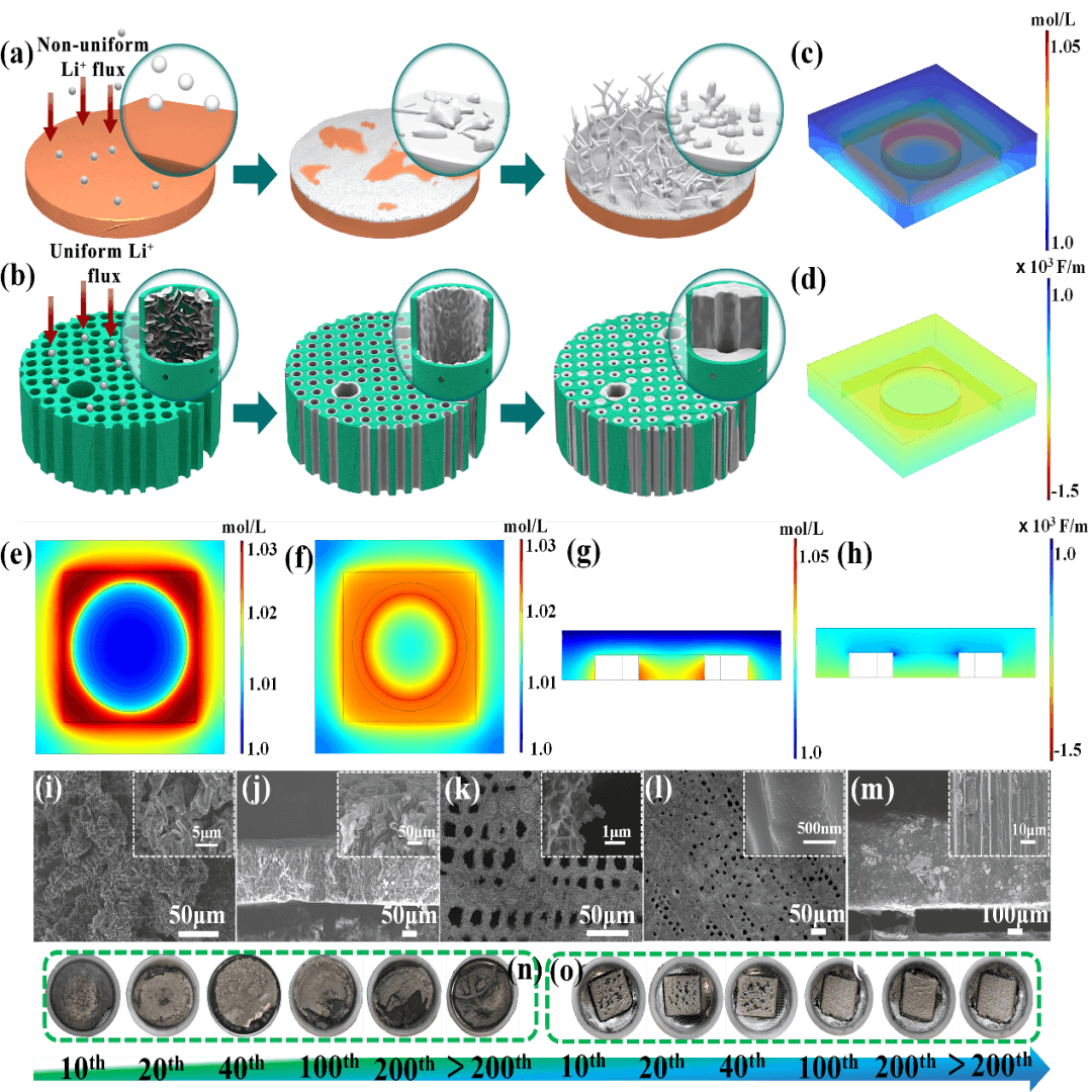 南方科大曾林 Advanced Science：垂直石墨烯通道“一石二鸟”助力锂金属电池
