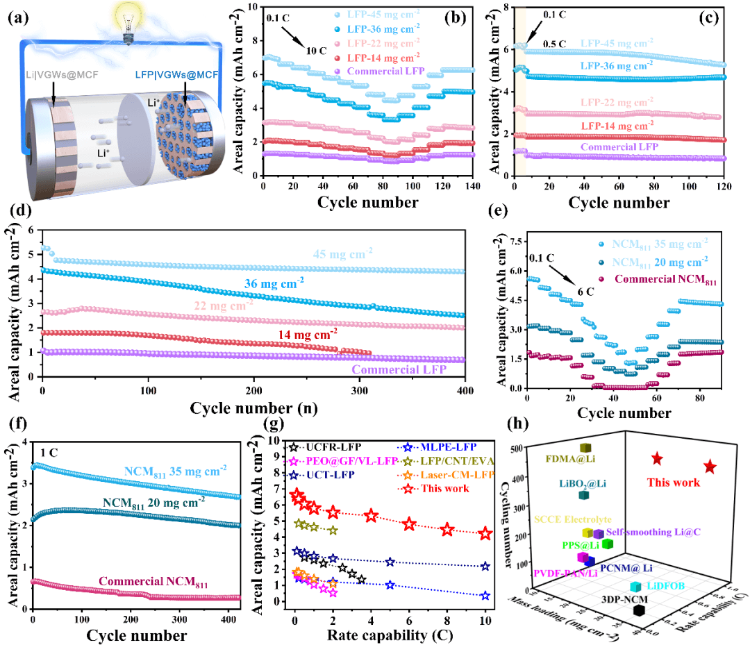 南方科大曾林 Advanced Science：垂直石墨烯通道“一石二鸟”助力锂金属电池