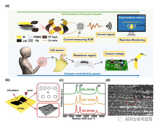 北京理工大学《ACS AMI》：使用激光诱导石墨烯技术的具有自感应能力的可拉伸传感器和电热致动器