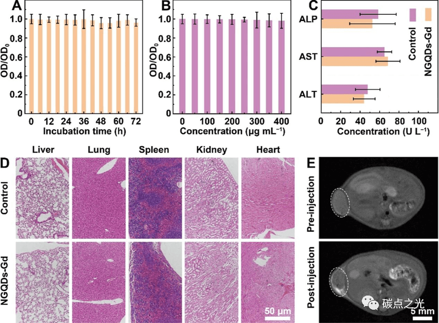 ACS Appl. Mater. Interfaces：石墨烯量子点中含氧和含氮基团的协同效应:高弛豫红光双模磁共振成像造影剂