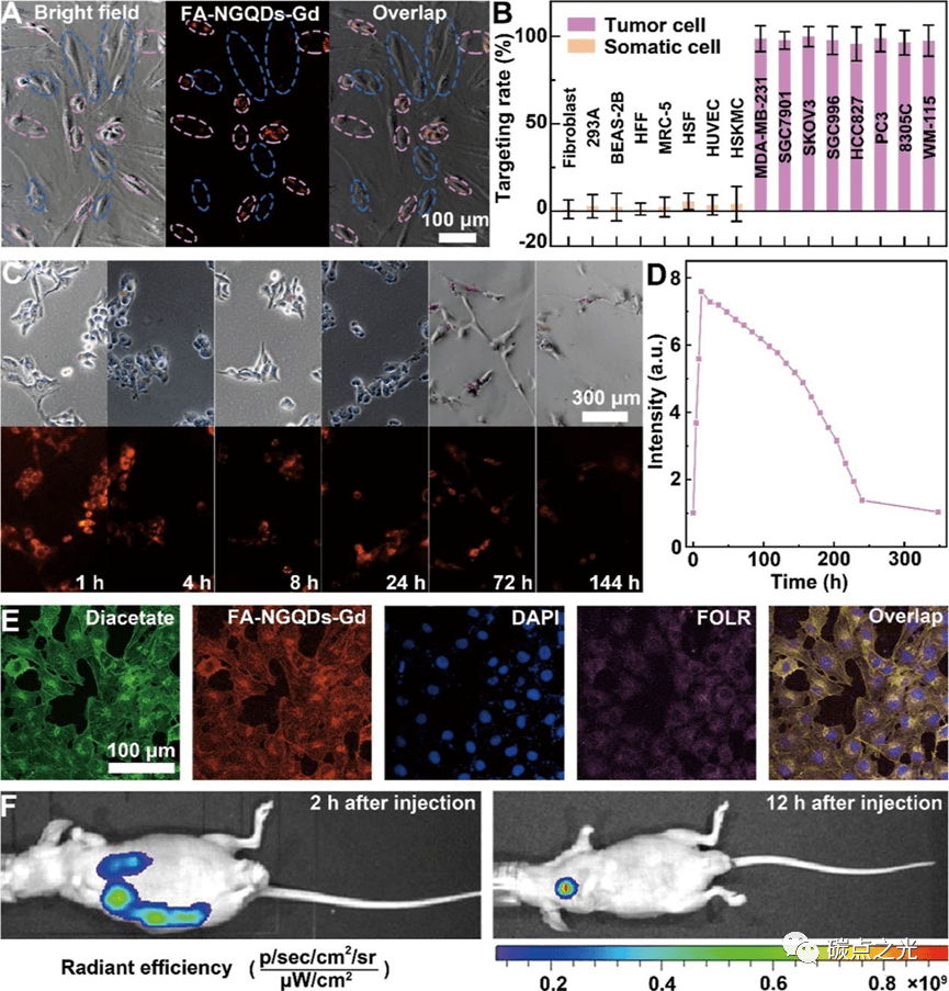 ACS Appl. Mater. Interfaces：石墨烯量子点中含氧和含氮基团的协同效应:高弛豫红光双模磁共振成像造影剂