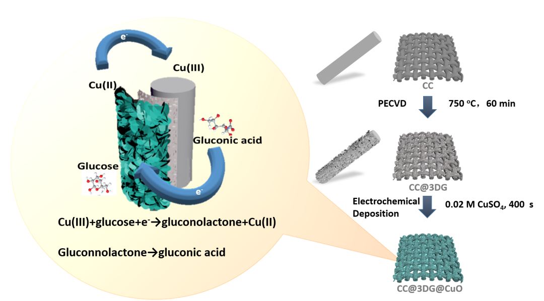 ChemElectroChem：一种快速检测葡萄糖的氧化铜纳米花-立体石墨烯-碳布柔性电极
