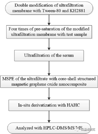 磁性固相萃取原位衍生化核壳结构磁性氧化石墨烯纳米复合材料用于准确定量化人血清中的游离睾酮和雄烯二酮