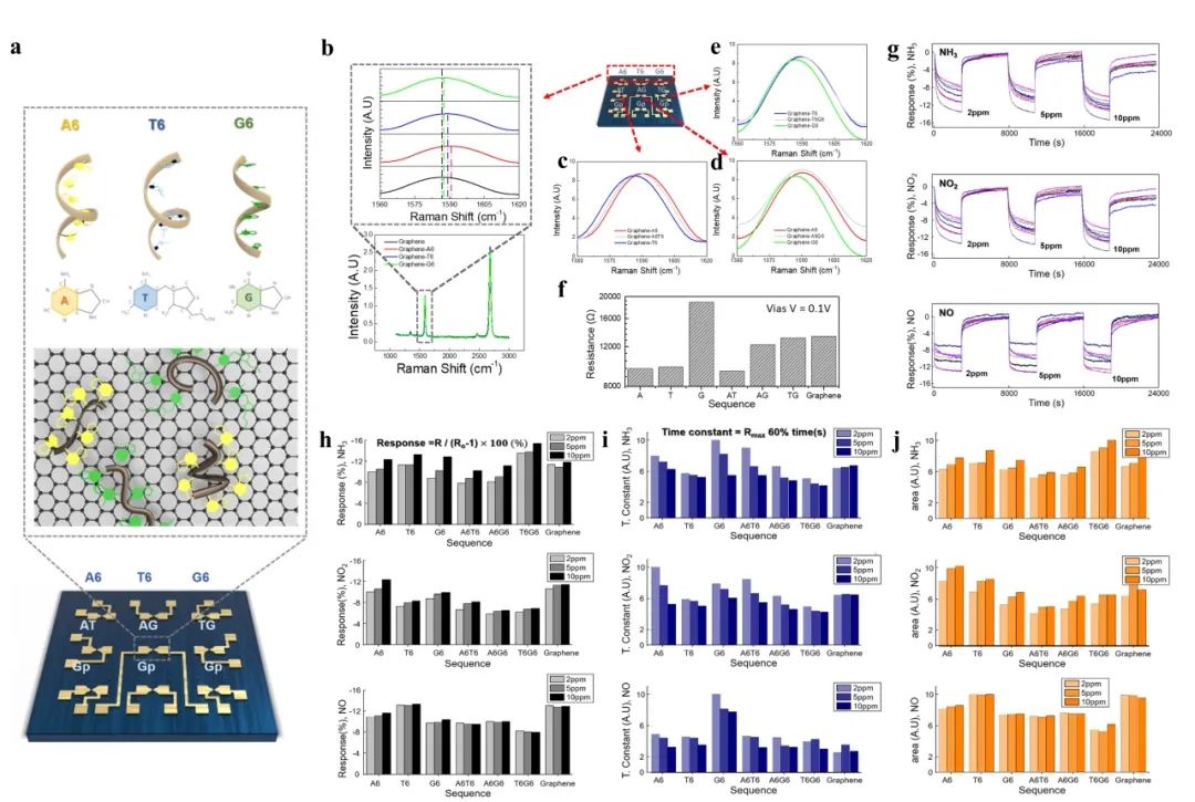 最新成果 | 延世大学Jongeun Choi教授团队：基于人工智能的多重DNA功能化石墨烯传感器用于分析化学蒸汽成分