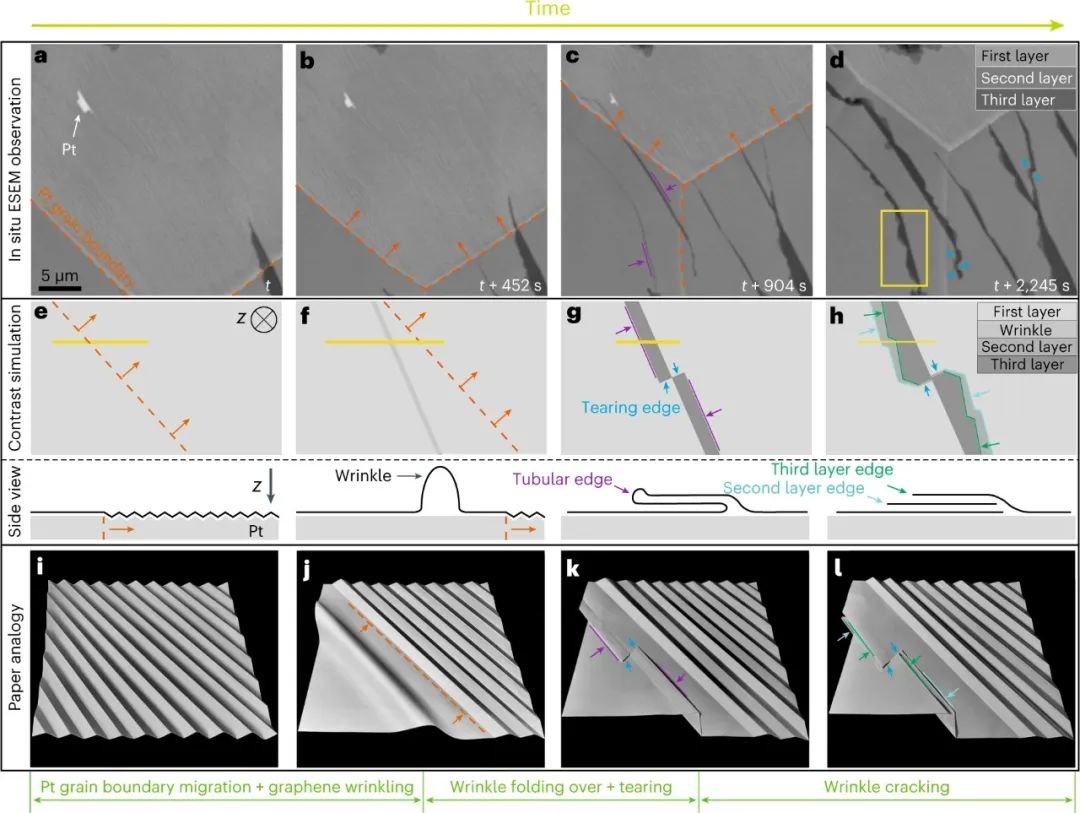 上海科技大学王竹君团队Nat. Mater.: 石墨烯螺旋的一维和二维顺序生长将手性转换为转角