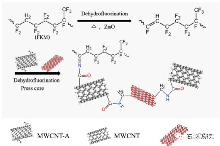 温州大学化学与材料工程学院Yurou Chen等--通过胺化多壁碳纳米管和还原氧化石墨烯形成交联网络来提高氟橡胶的力学性能