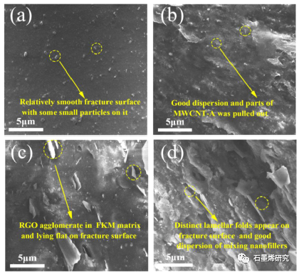 温州大学化学与材料工程学院Yurou Chen等--通过胺化多壁碳纳米管和还原氧化石墨烯形成交联网络来提高氟橡胶的力学性能