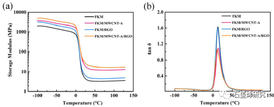 温州大学化学与材料工程学院Yurou Chen等--通过胺化多壁碳纳米管和还原氧化石墨烯形成交联网络来提高氟橡胶的力学性能