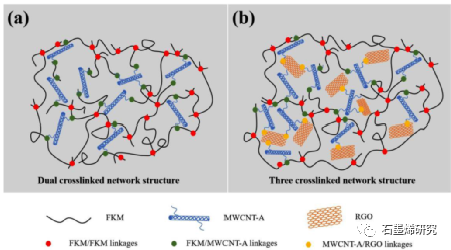 温州大学化学与材料工程学院Yurou Chen等--通过胺化多壁碳纳米管和还原氧化石墨烯形成交联网络来提高氟橡胶的力学性能