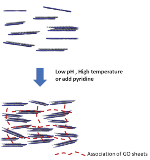 清华大学王晓工教授团队：影响氧化石墨烯分散液流变行为的重要因素及群体平衡动力学分析