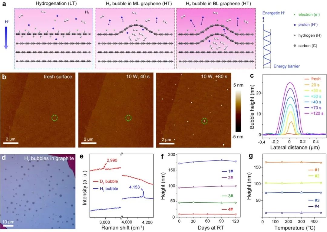 成果 | 高力波课题组实现无缺陷石墨烯稳定封装氢分子